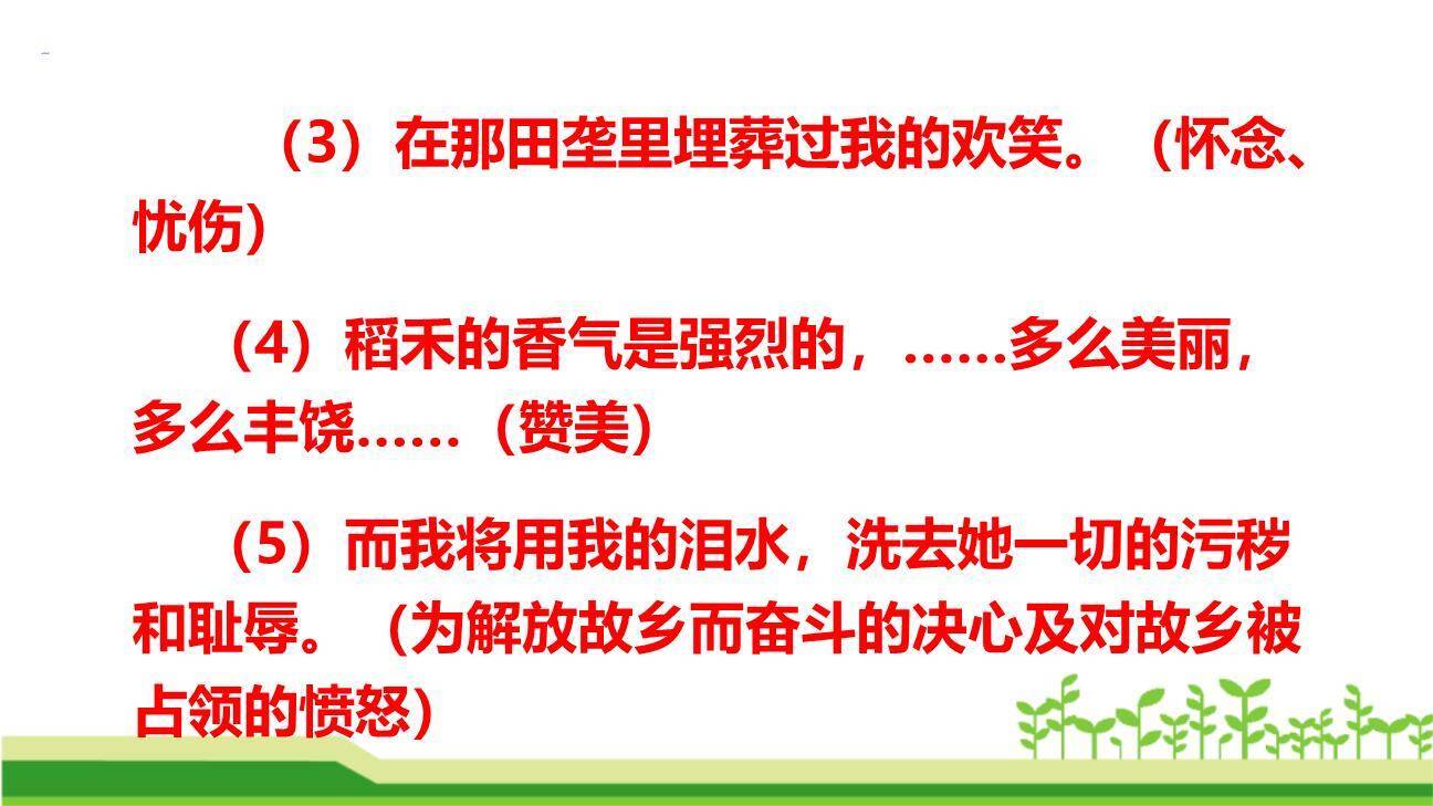 土地的誓言PPT课件43