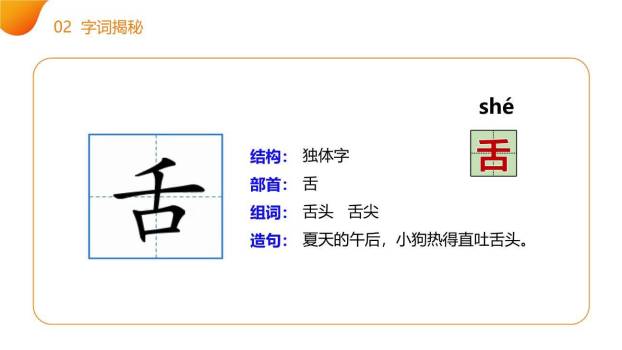 动物王国开大会PPT课件68