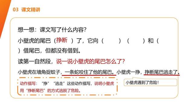 小壁虎借尾巴PPT课件27