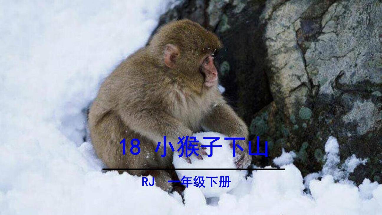 小猴子下山PPT课件20