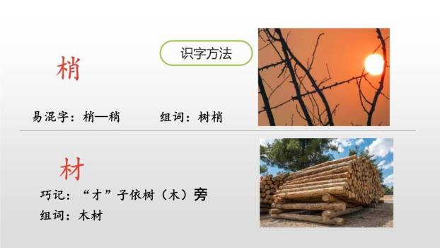 美丽的小兴安岭PPT课件81