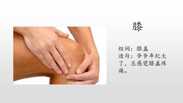 美丽的小兴安岭PPT课件82