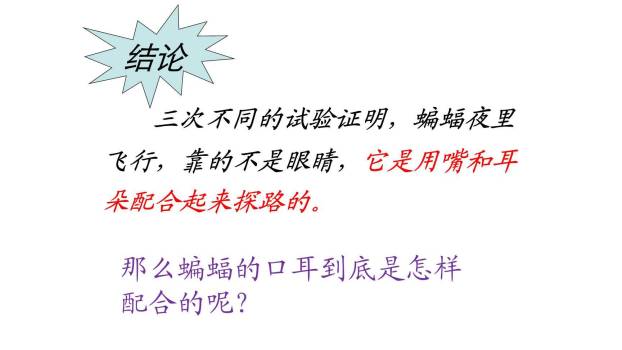 蝙蝠与雷达PPT课件39