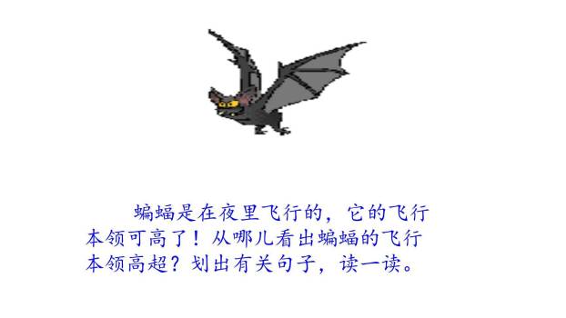 蝙蝠与雷达PPT课件31