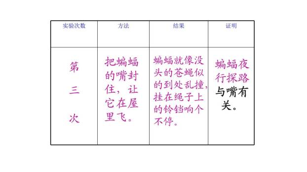 蝙蝠与雷达PPT课件35