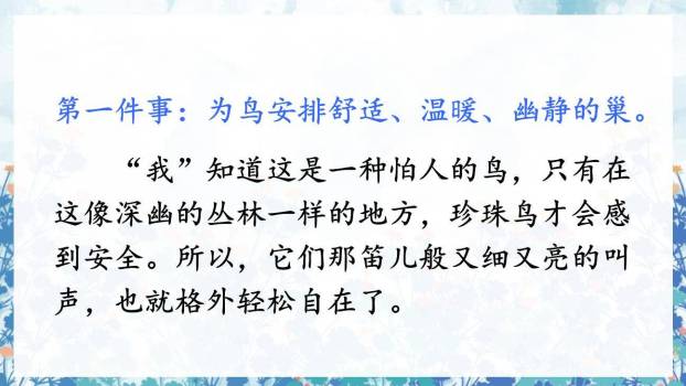 珍珠鸟PPT课件58