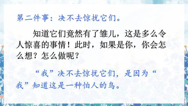 珍珠鸟PPT课件59