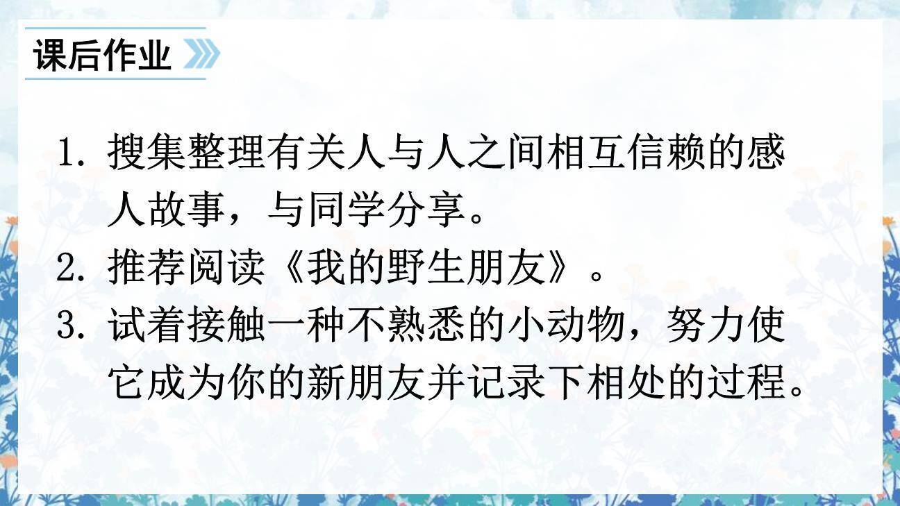 珍珠鸟PPT课件53