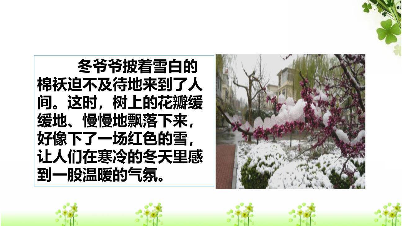 我的植物朋友PPT课件79