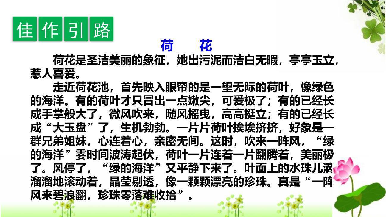 我的植物朋友PPT课件73