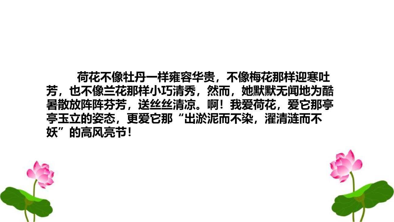 我的植物朋友PPT课件75