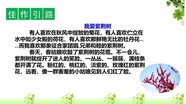 我的植物朋友PPT课件76