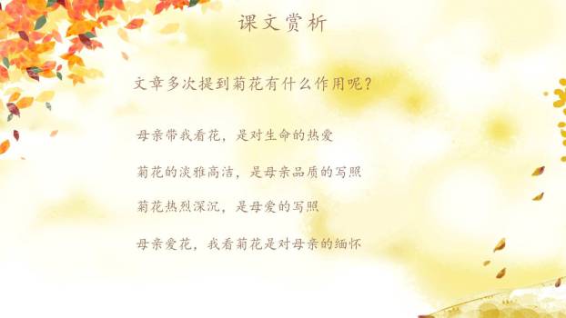 秋天的怀念PPT课件27
