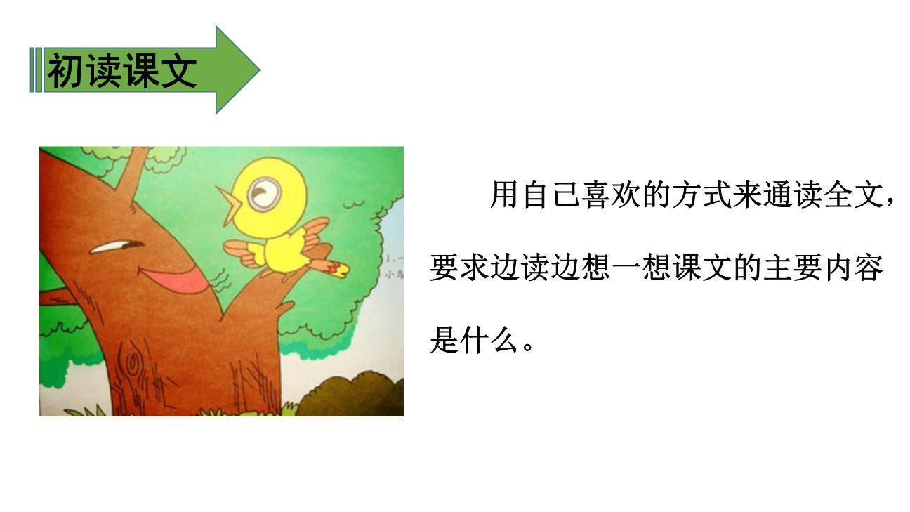 去年的树PPT课件17