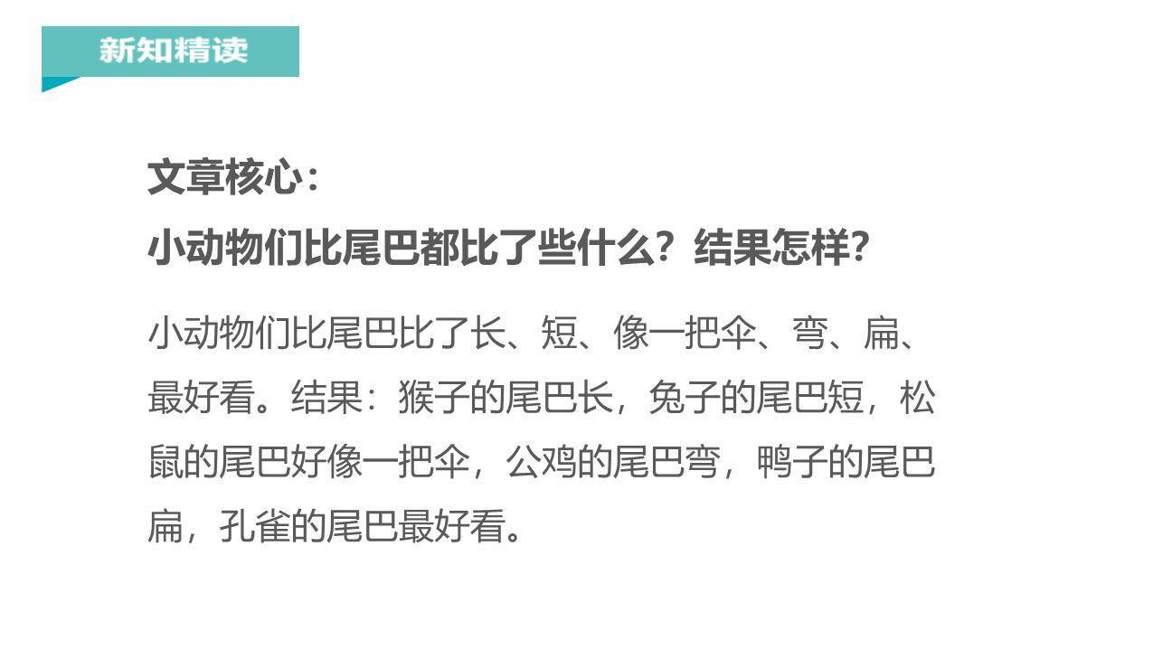 比尾巴PPT课件18