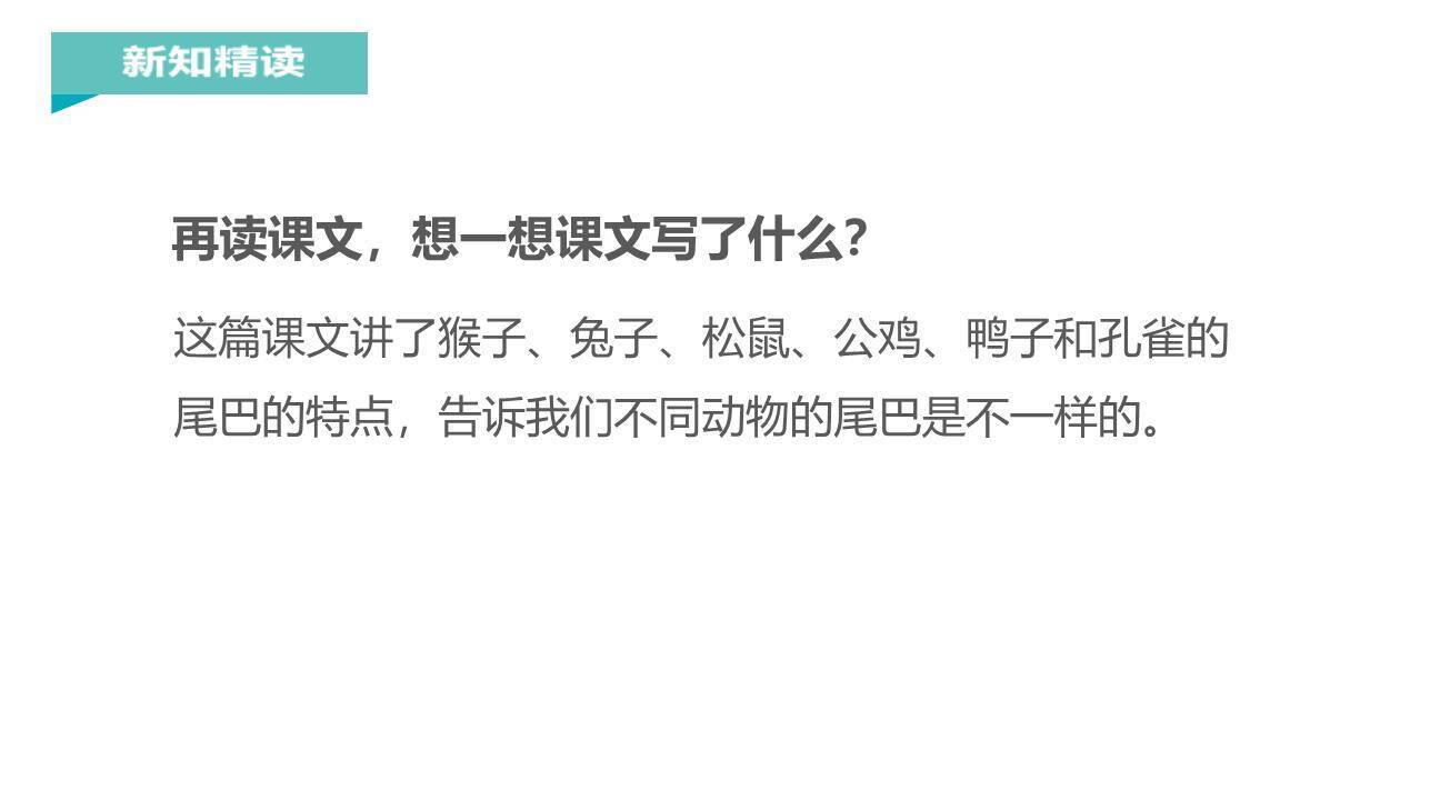 比尾巴PPT课件13