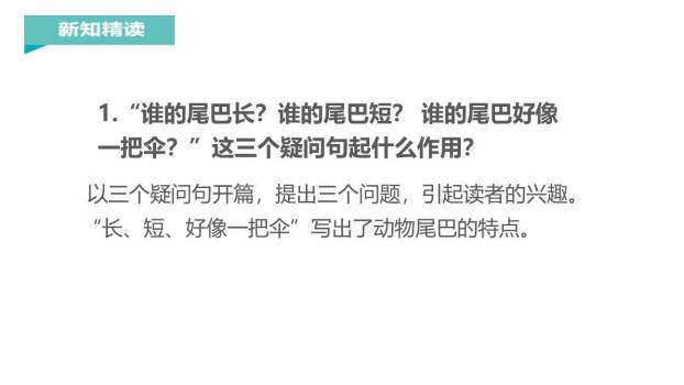 比尾巴PPT课件14