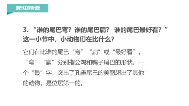 比尾巴PPT课件17