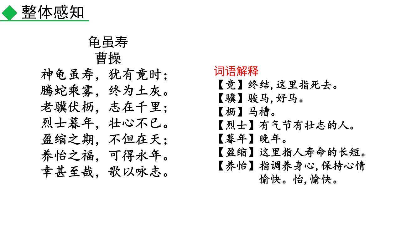 龟虽寿PPT课件12