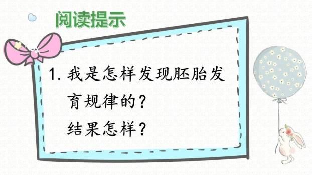 童年的发现PPT课件39