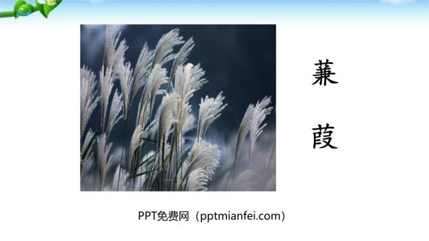 蒹葭PPT课件60