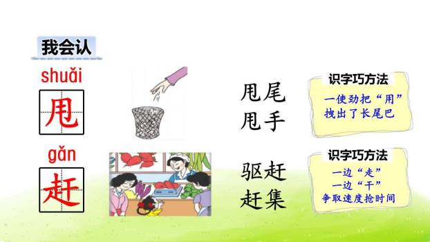 小壁虎借尾巴PPT课件73