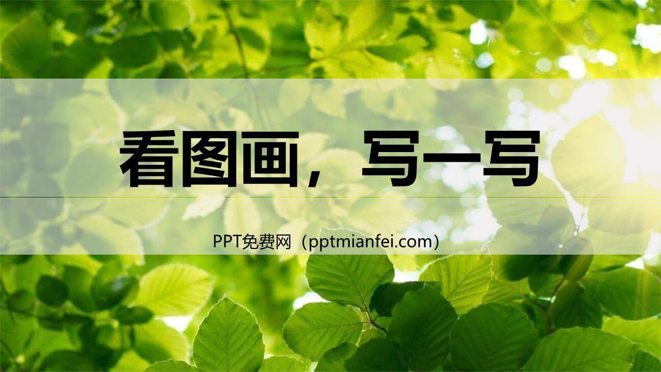 看图画写作文PPT课件50