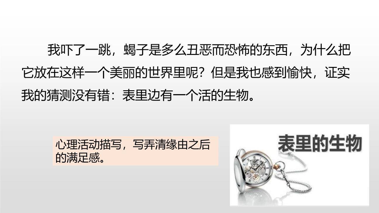 表里的生物PPT课件49