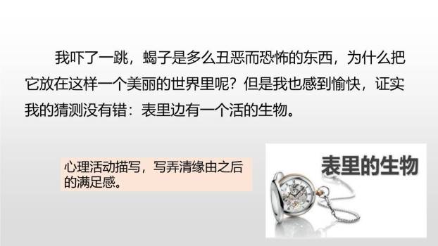 表里的生物PPT课件49