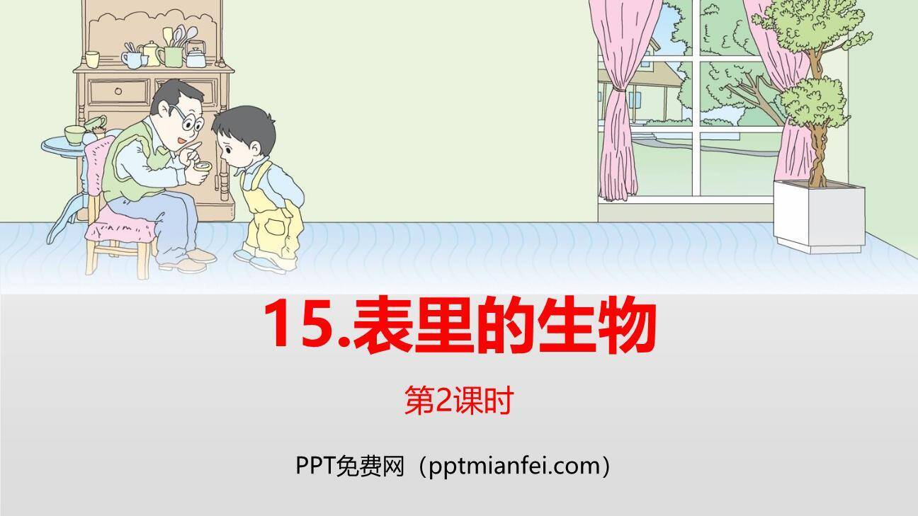 表里的生物PPT课件40