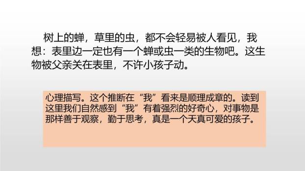 表里的生物PPT课件46