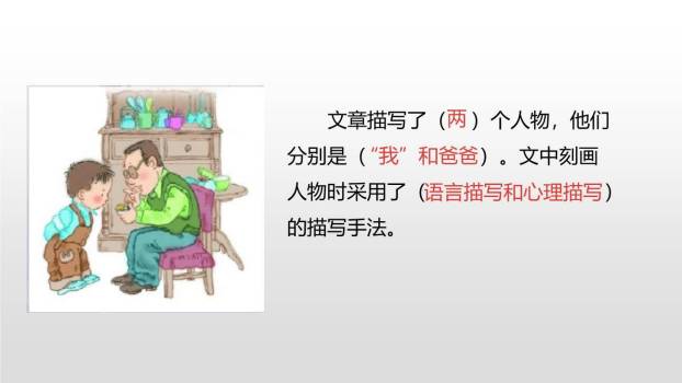 表里的生物PPT课件47