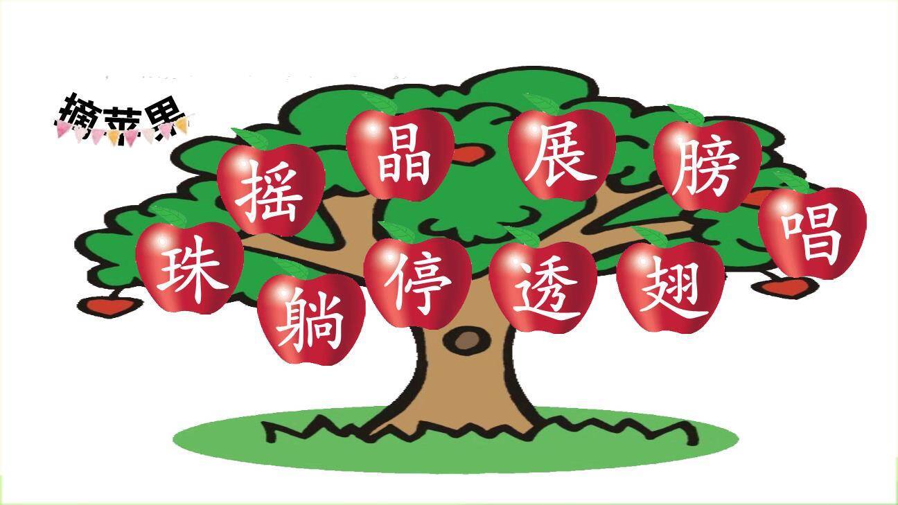 荷叶圆圆PPT课件48