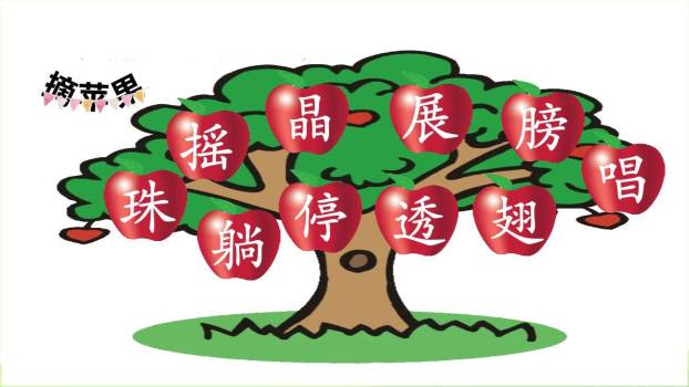 荷叶圆圆PPT课件48