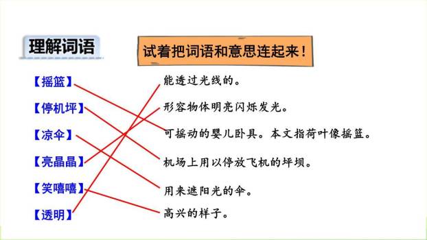 荷叶圆圆PPT课件49