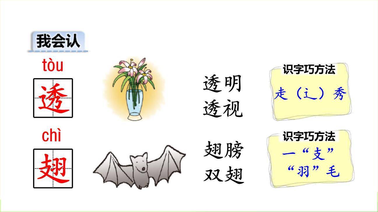 荷叶圆圆PPT课件43