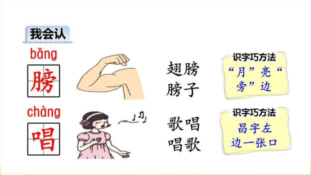 荷叶圆圆PPT课件44