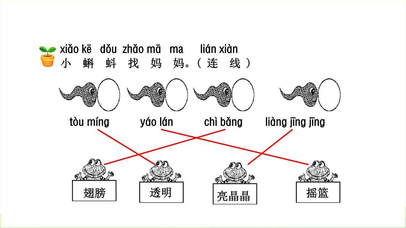 荷叶圆圆PPT课件46