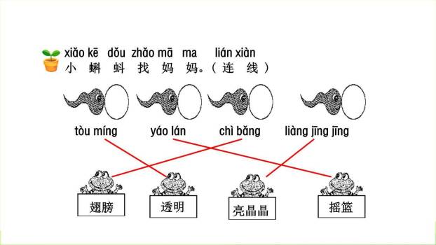 荷叶圆圆PPT课件46