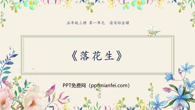 落花生PPT课件40