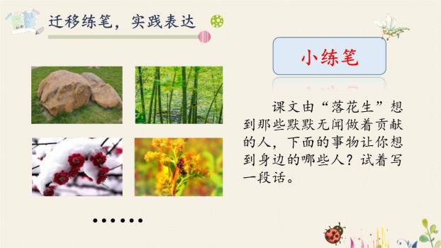 落花生PPT课件43