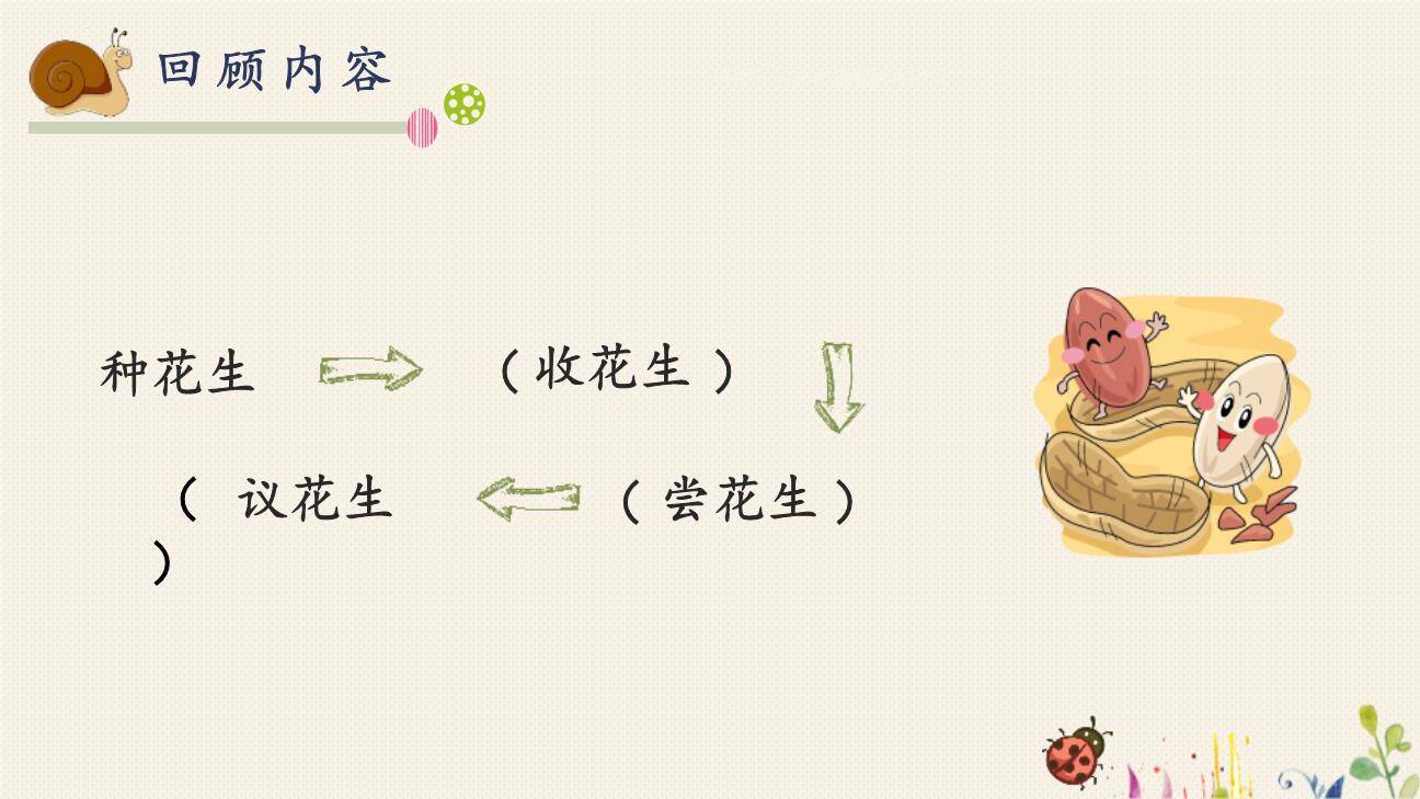 落花生PPT课件44