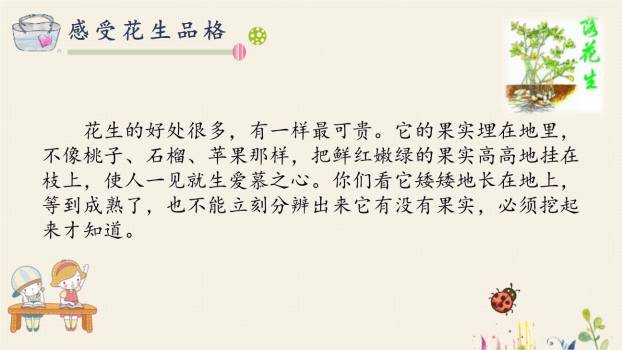 落花生PPT课件45