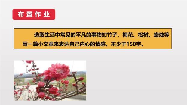 一颗小桃树PPT课件79