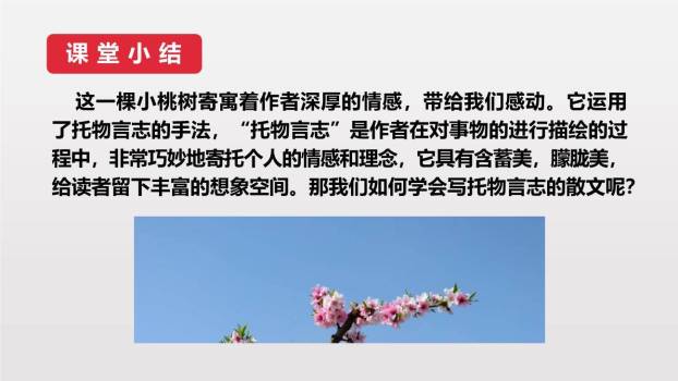 一颗小桃树PPT课件74