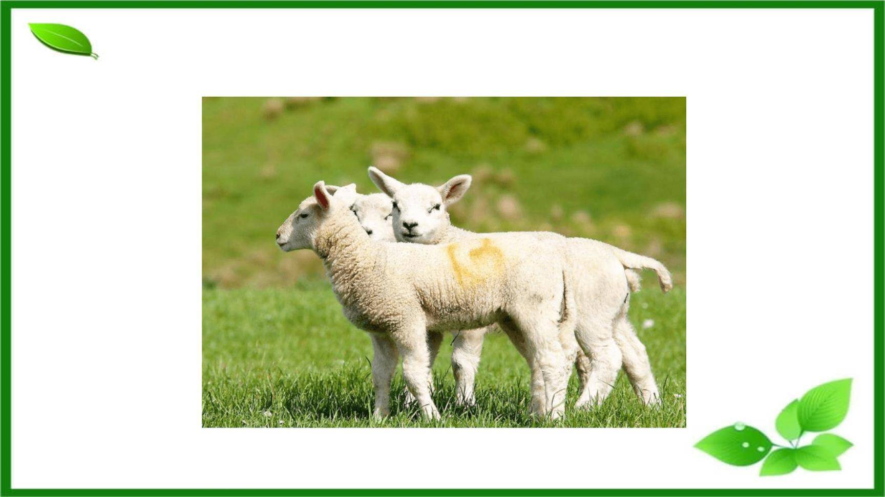 回延安PPT课件79