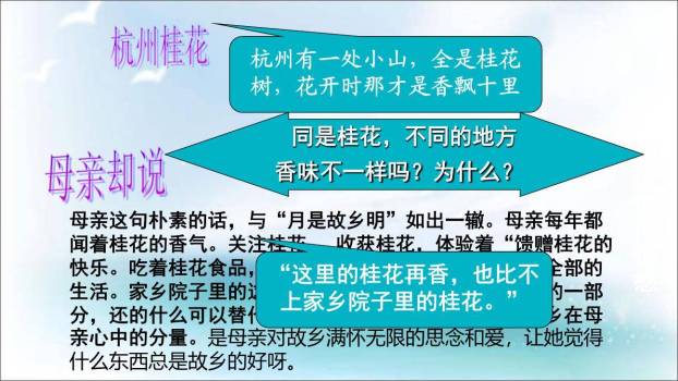 桂花雨PPT课件84