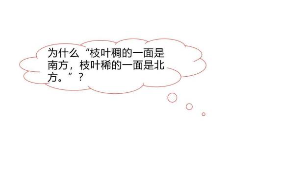 要是你在野外迷了路PPT课件61