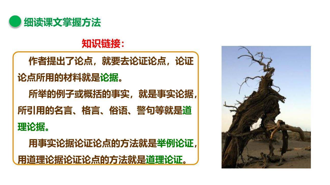 怀疑与学问PPT课件87