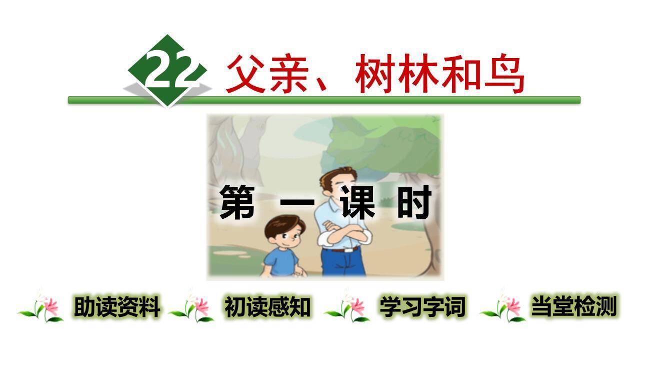 父亲树林和鸟PPT课件80